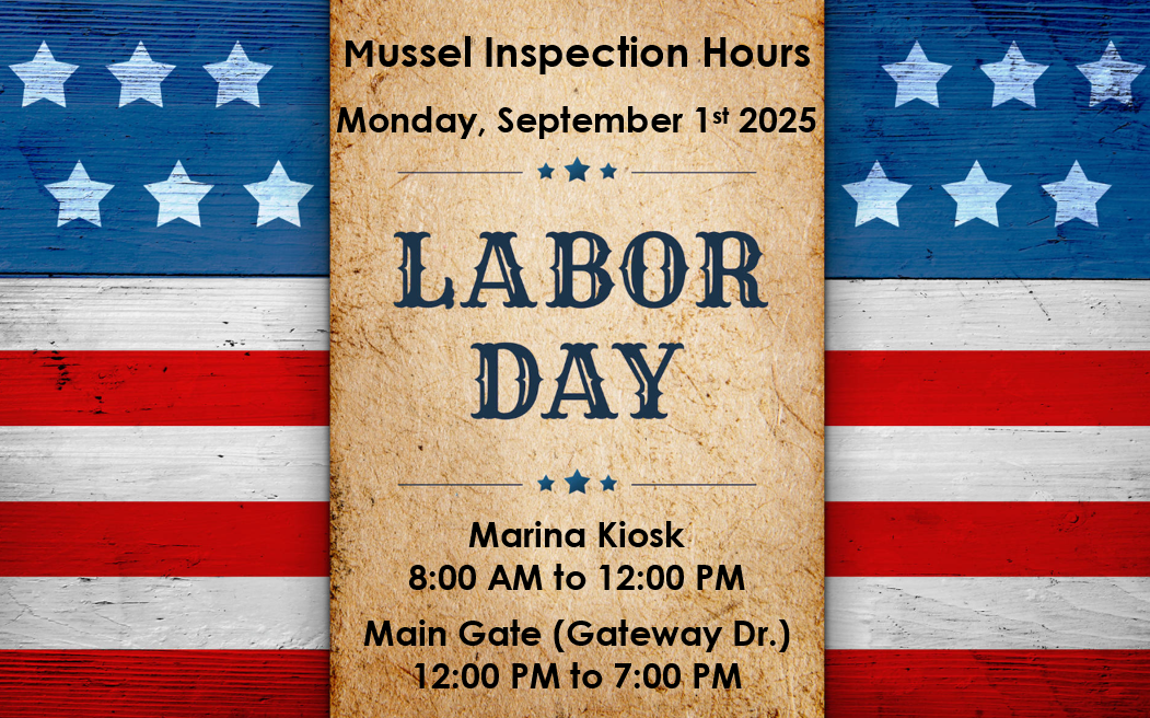 Mussel Hours LD